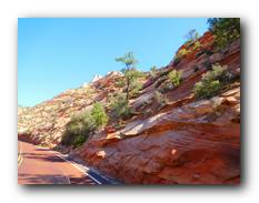 Zion NP 14.jpg